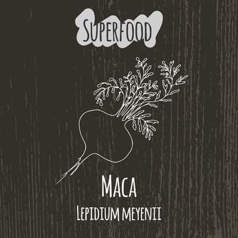 superfood korzeń maca