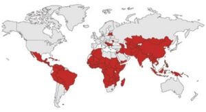 Moringa w krajach z niedożywieniem