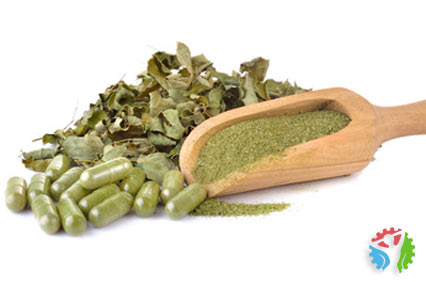 moringa dawkowanie suplementacja