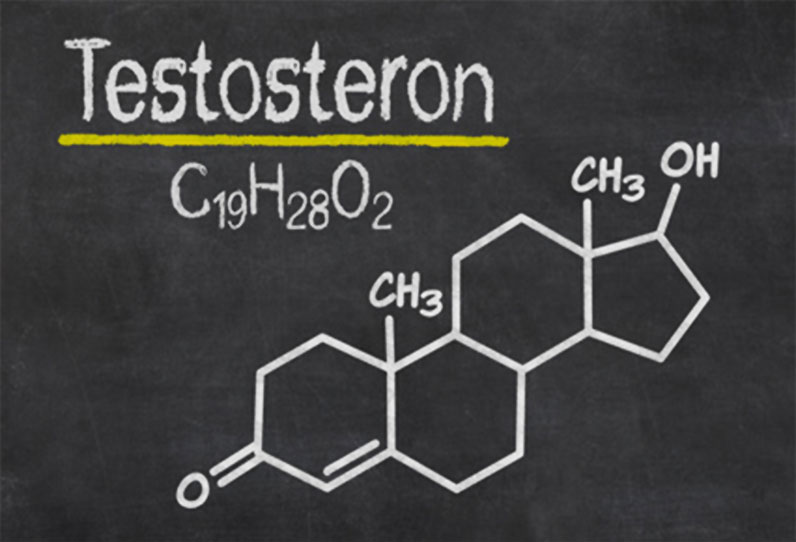 testosteron
